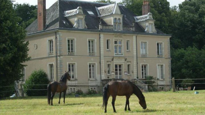Domaine De Bel Air 호텔 Cérans-Foulletourte 외부 사진